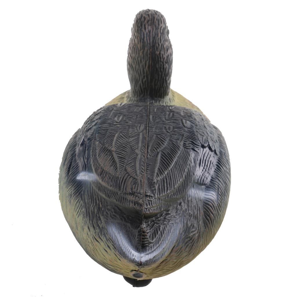 Señuelo de Pato de Plástico Al - Decoy Duck Plastic reseña y precio