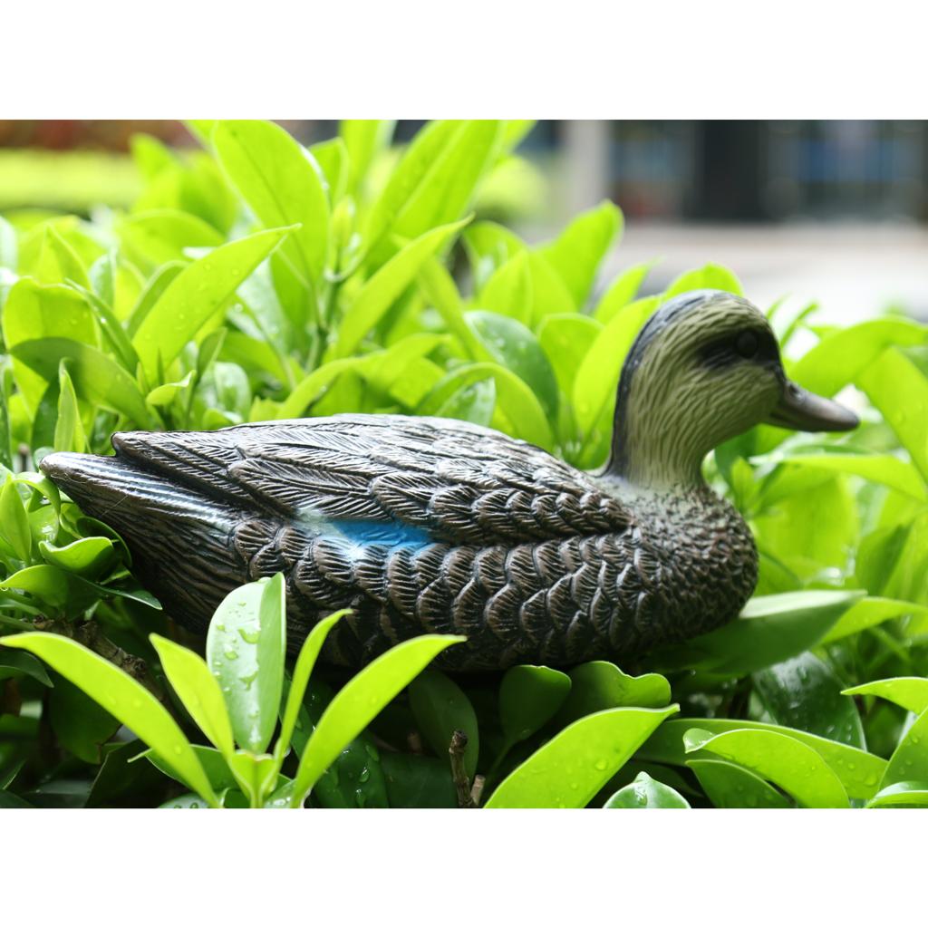 Adornos de pato mandarín, señu - Decoy Duck Plastic reseña y precio