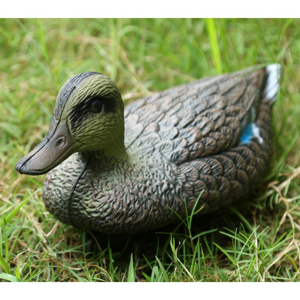 Señuelo de Pato Mandarín de Pl - Decoy Duck Plastic reseña y precio