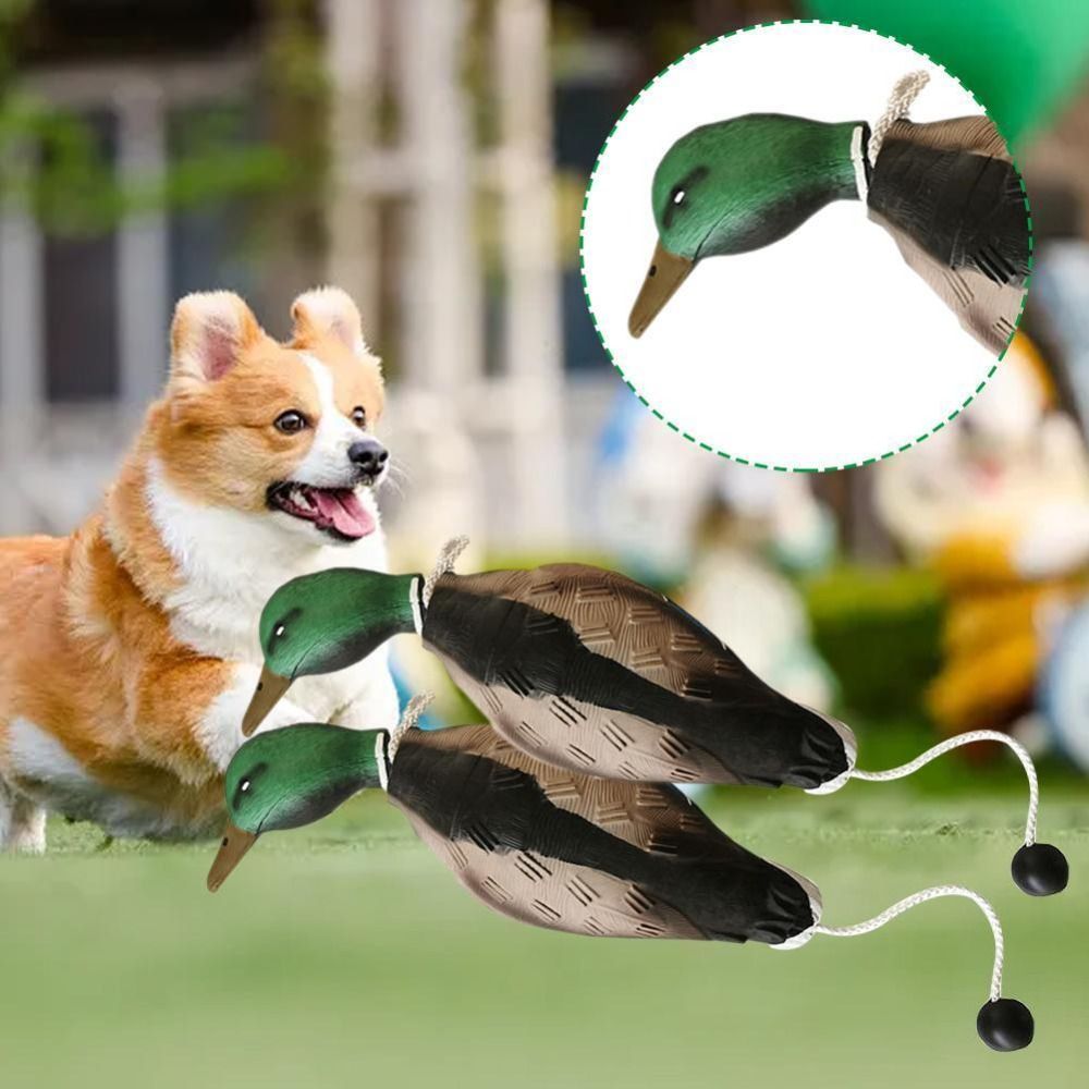 Señuelo de pato mallard, jugue - Decoy Duck Plastic reseña y precio