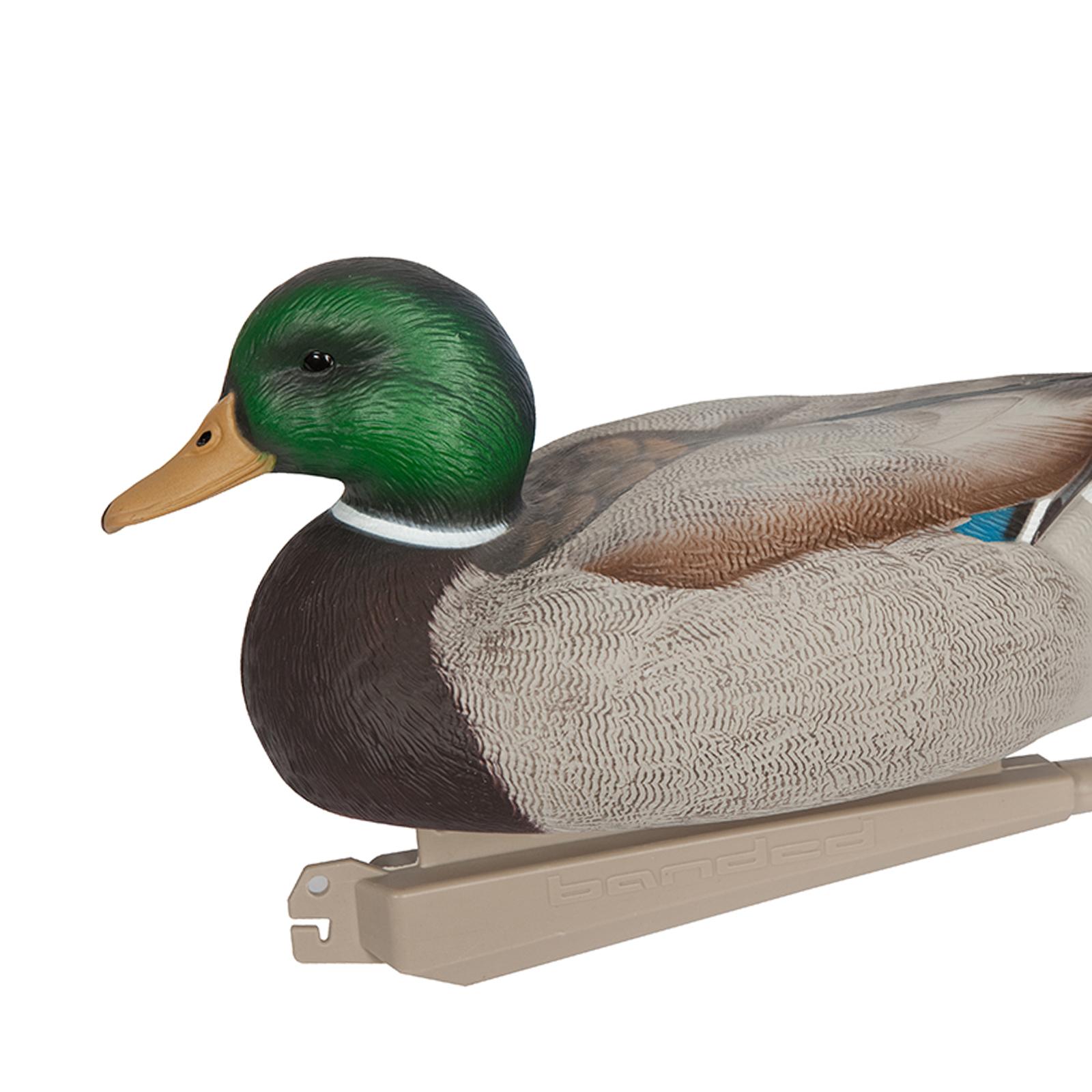 Señuelo de Plástico Anatómicam - Decoy Duck Plastic reseña y precio