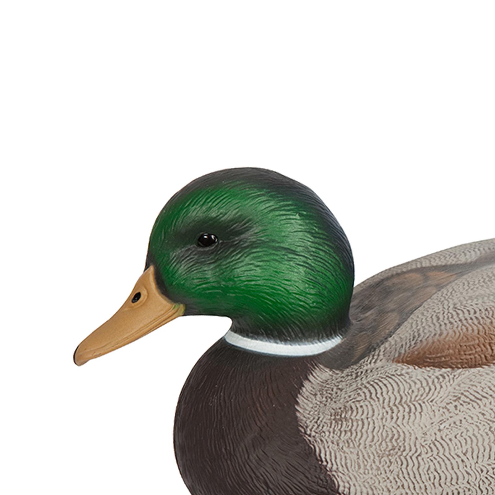 Señuelo de Plástico Anatómicam - Decoy Duck Plastic reseña y precio