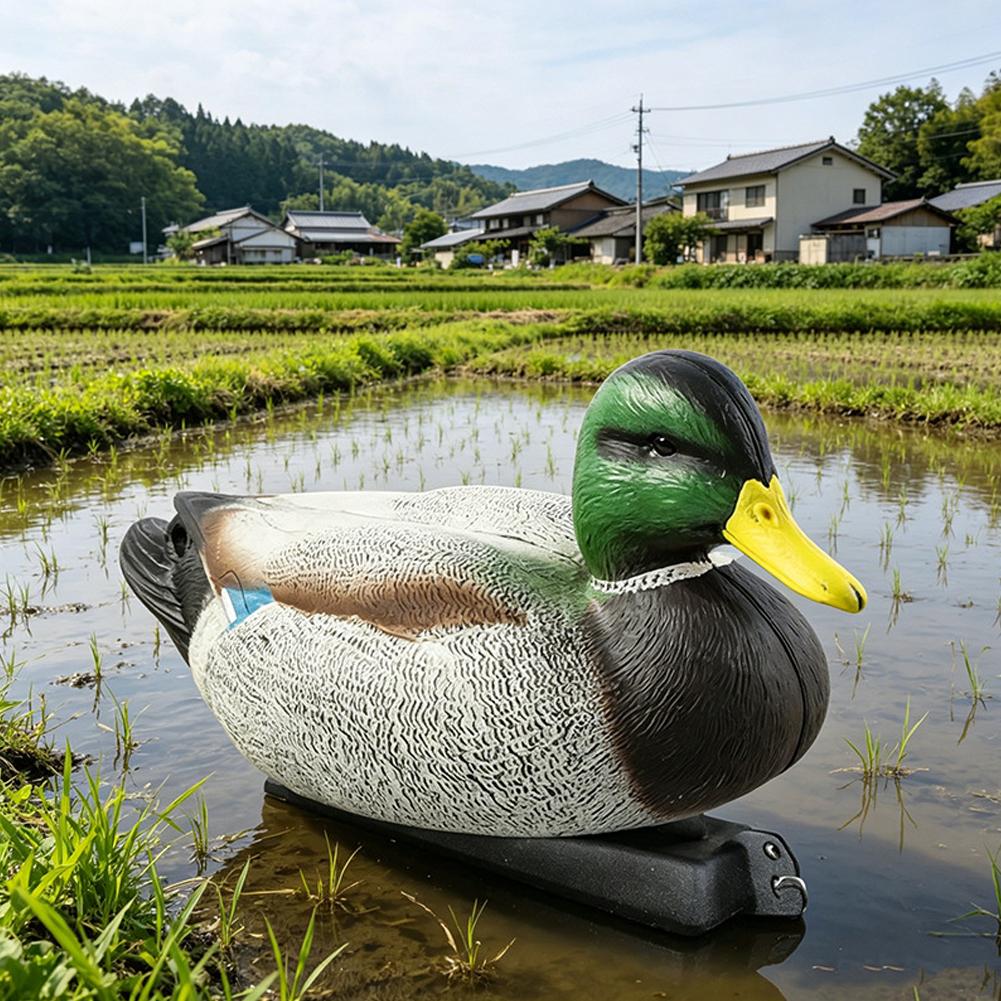 Señuelo de Pato Flotante 3D Re - Decoy Duck Plastic reseña y precio